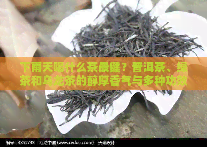 下雨天喝什么茶最健？普洱茶、绿茶和乌龙茶的醇厚香气与多种功效解析