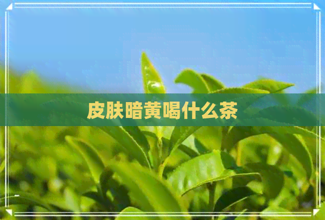 皮肤暗黄喝什么茶