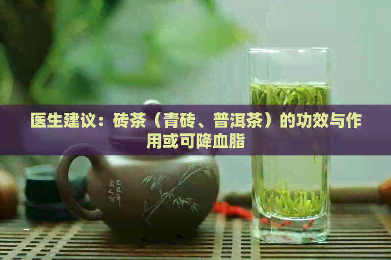 医生建议：砖茶（青砖、普洱茶）的功效与作用或可降血脂