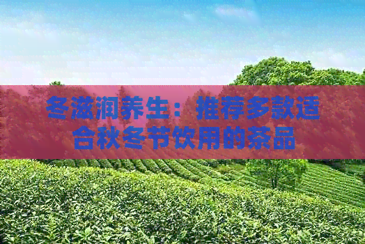 冬滋润养生：推荐多款适合秋冬节饮用的茶品