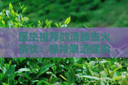 医生推荐的清肺去火茶饮：保持吸道健的选择