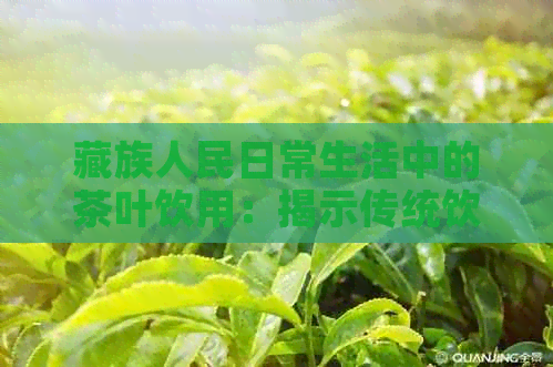 藏族人民日常生活中的茶叶饮用：揭示传统饮茶文化的魅力