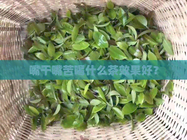 嘴干嘴苦喝什么茶效果好？