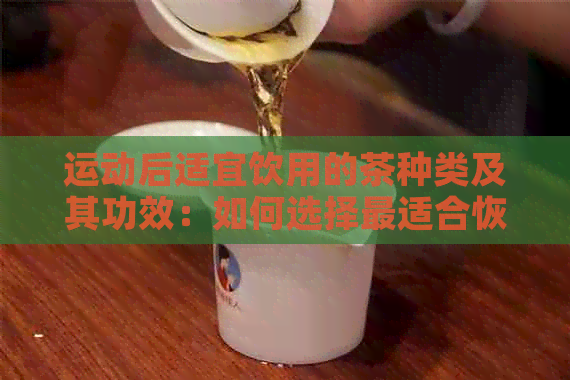 运动后适宜饮用的茶种类及其功效：如何选择最适合恢复身体的茶