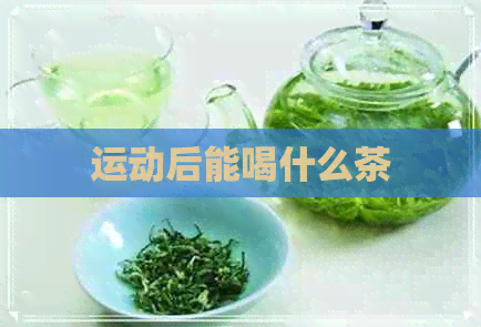 运动后能喝什么茶