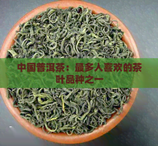 中国普洱茶：最多人喜欢的茶叶品种之一