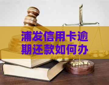 浦发信用卡逾期还款如何办理60期分期还款？全面解决用户疑问