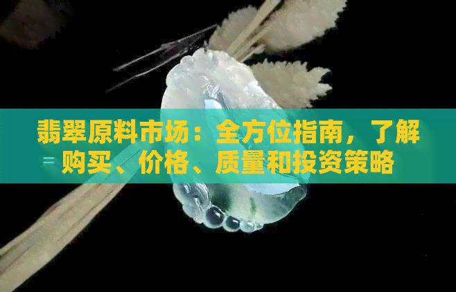 翡翠原料市场：全方位指南，了解购买、价格、质量和投资策略