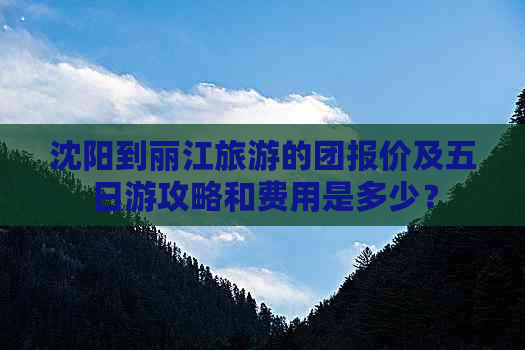 沈阳到丽江旅游的团报价及五日游攻略和费用是多少？