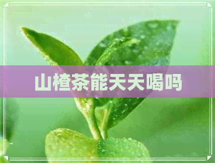 山楂茶能天天喝吗