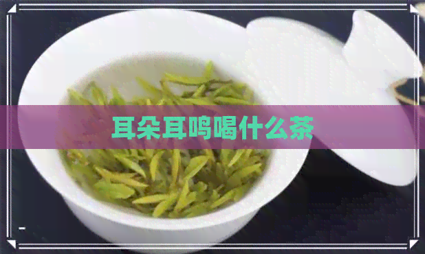 耳朵耳鸣喝什么茶