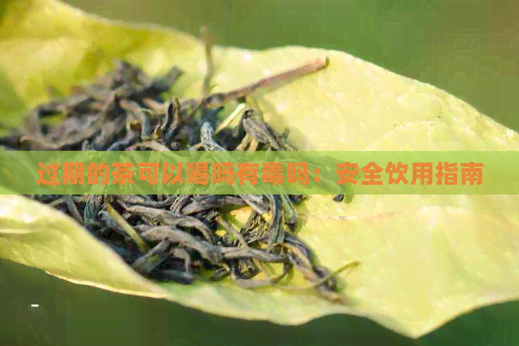 过期的茶可以喝吗有吗：安全饮用指南