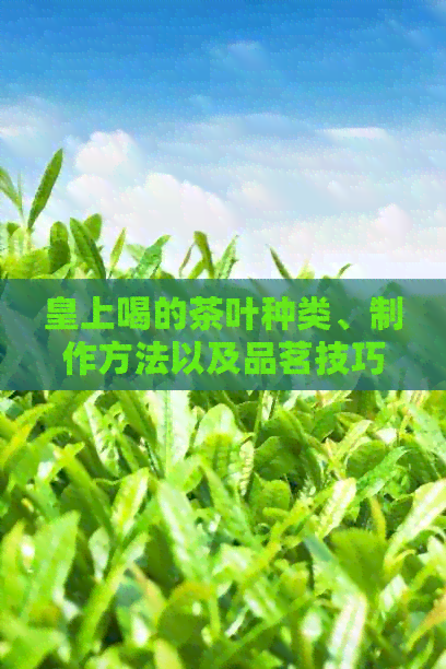 皇上喝的茶叶种类、制作方法以及品茗技巧：一篇全面的茶文化指南