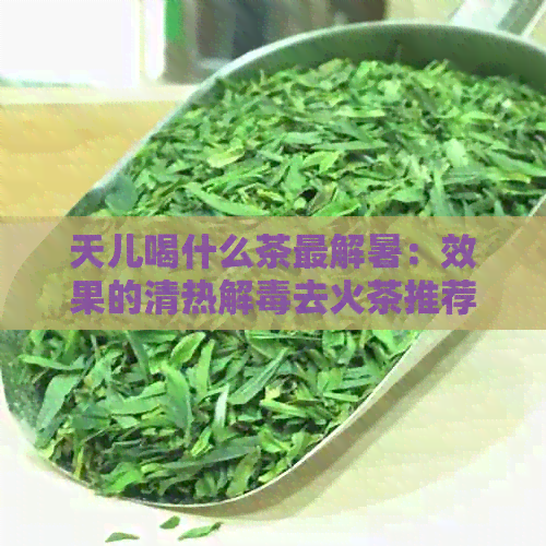 天儿喝什么茶最解暑：效果的清热解去火茶推荐