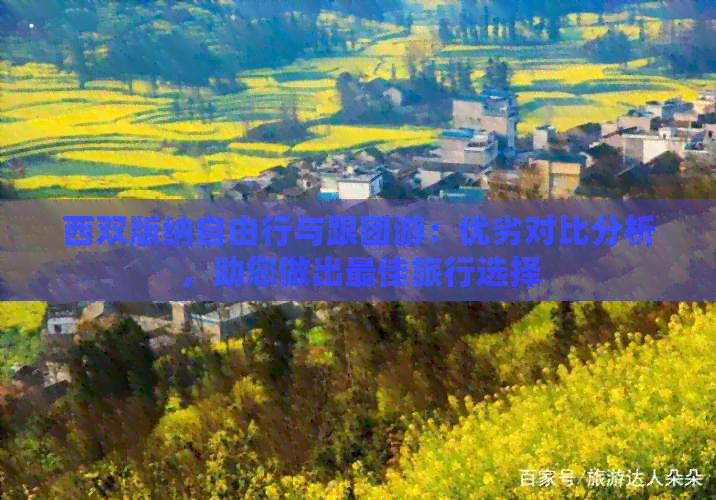 西双版纳自由行与跟团游：优劣对比分析，助您做出更佳旅行选择