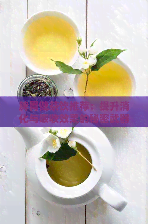 脾胃健茶饮推荐：提升消化与吸收效果的秘密武器