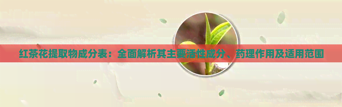 红茶花提取物成分表：全面解析其主要活性成分、药理作用及适用范围