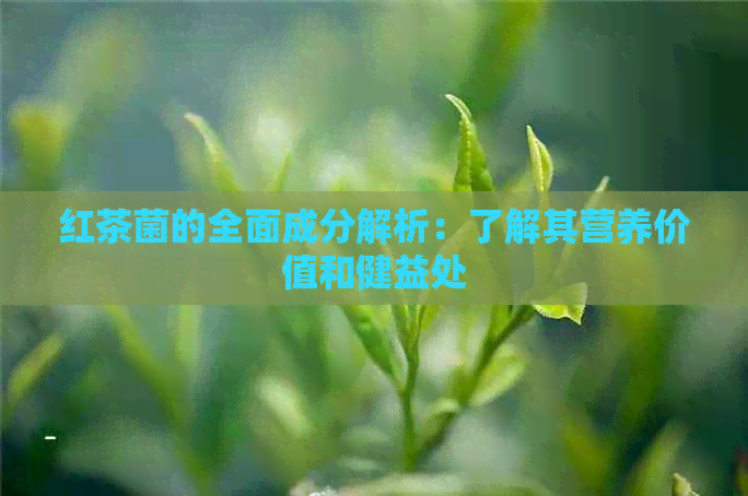 红茶菌的全面成分解析：了解其营养价值和健益处