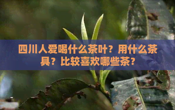 四川人爱喝什么茶叶？用什么茶具？比较喜欢哪些茶？