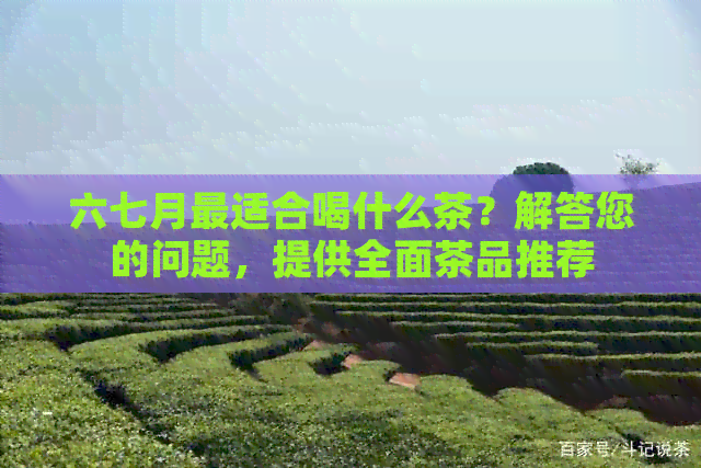 六七月最适合喝什么茶？解答您的问题，提供全面茶品推荐