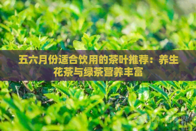 五六月份适合饮用的茶叶推荐：养生花茶与绿茶营养丰富