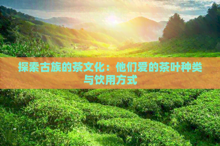 探索古族的茶文化：他们爱的茶叶种类与饮用方式