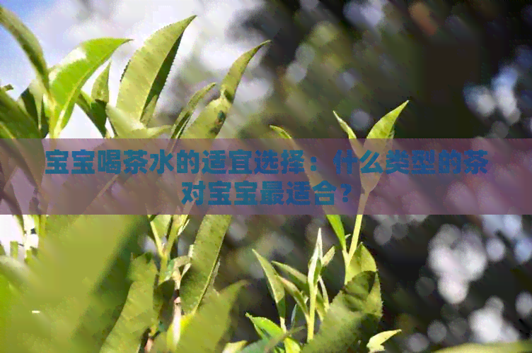 宝宝喝茶水的适宜选择：什么类型的茶对宝宝最适合？