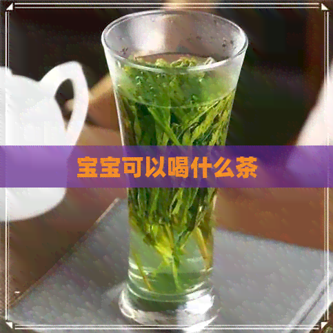 宝宝可以喝什么茶