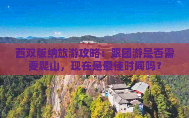 西双版纳旅游攻略：跟团游是否需要爬山，现在是更佳时间吗？