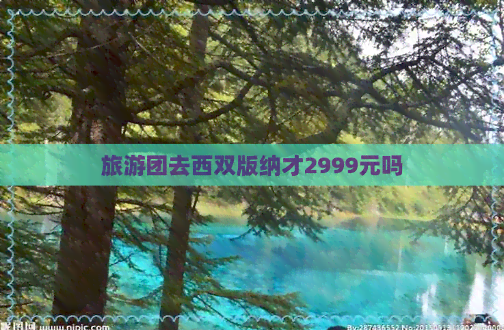 旅游团去西双版纳才2999元吗