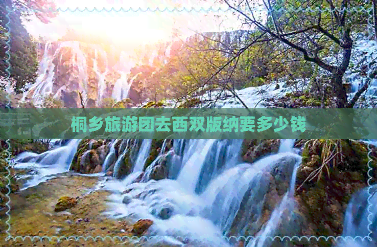 桐乡旅游团去西双版纳要多少钱