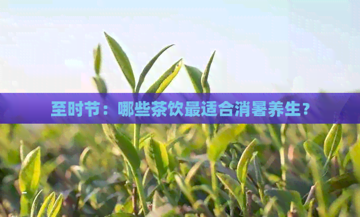 至时节：哪些茶饮最适合消暑养生？