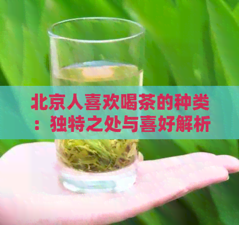 北京人喜欢喝茶的种类：独特之处与喜好解析