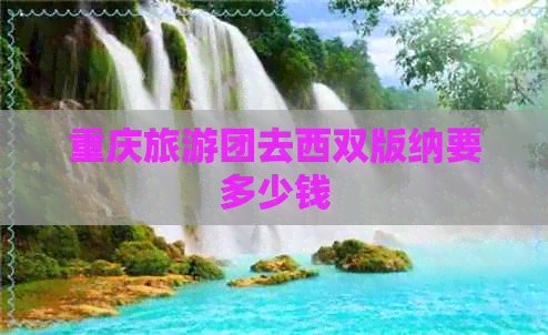 重庆旅游团去西双版纳要多少钱