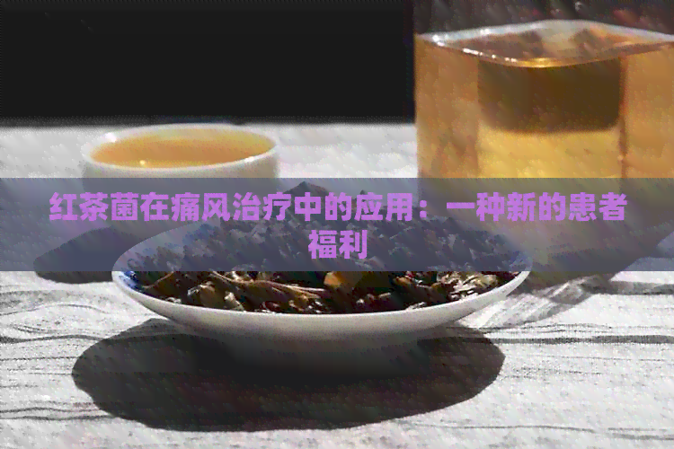 红茶菌在痛风治疗中的应用：一种新的患者福利