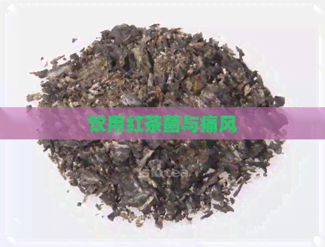 饮用红茶菌与痛风