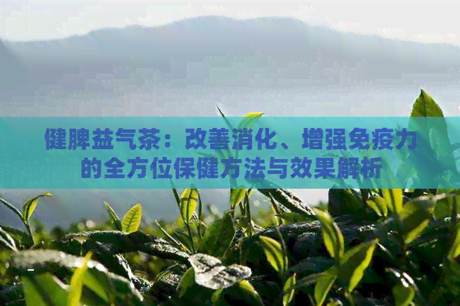 健脾益气茶：改善消化、增强免疫力的全方位保健方法与效果解析