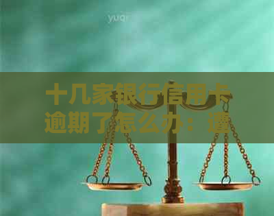 十几家银行信用卡逾期了怎么办：遭遇信用卡债务困境如何解决？