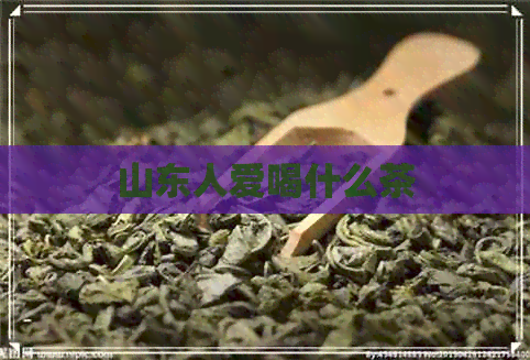 山东人爱喝什么茶