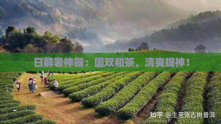 日解暑神器：国双和茶，清爽提神！