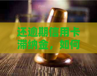 还逾期信用卡滞纳金，如何与银行协商免除？