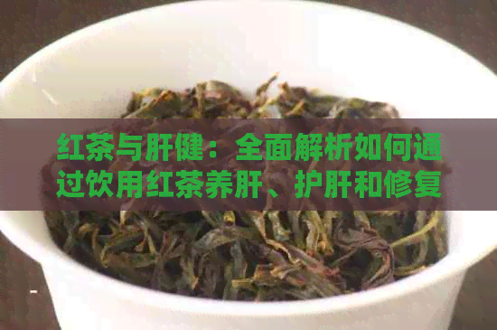 红茶与肝健：全面解析如何通过饮用红茶养肝、护肝和修复肝脏功能