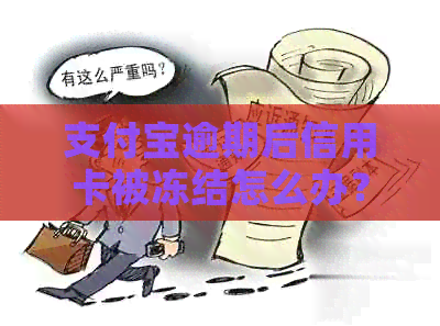 支付宝逾期后信用卡被冻结怎么办？