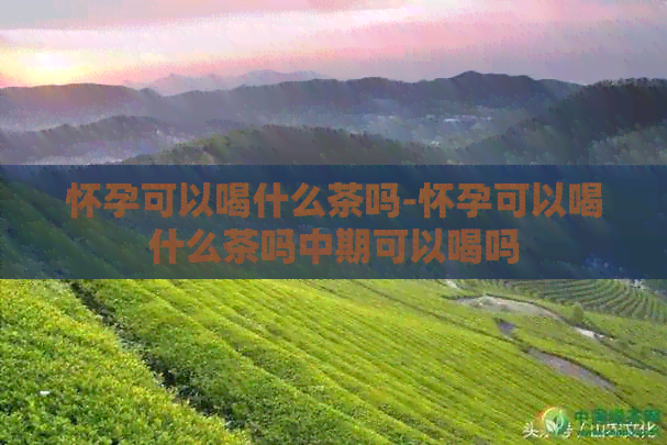 怀孕可以喝什么茶吗-怀孕可以喝什么茶吗中期可以喝吗