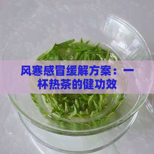 风寒感冒缓解方案：一杯热茶的健功效