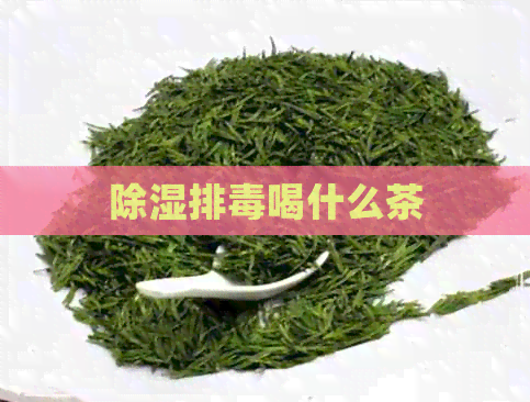 除湿排喝什么茶