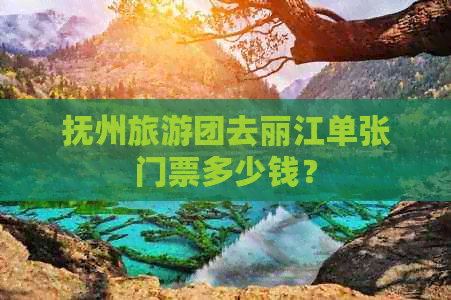 抚州旅游团去丽江单张门票多少钱？