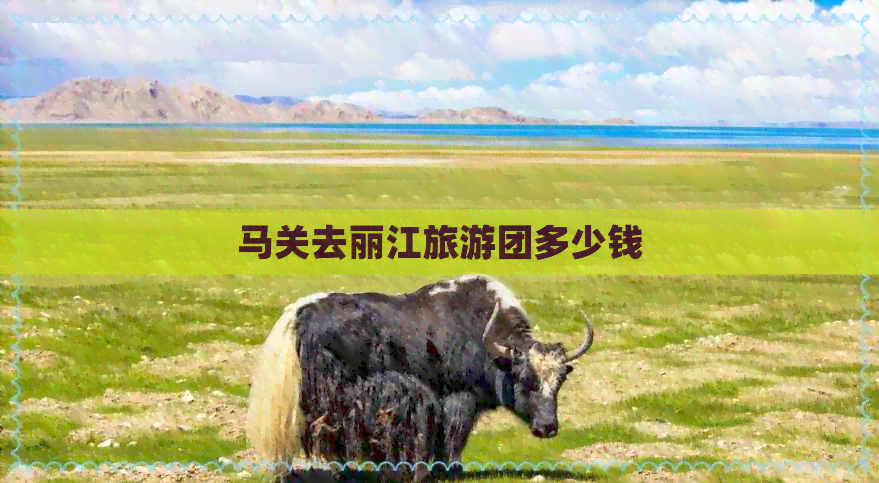 马关去丽江旅游团多少钱