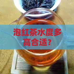 泡红茶水度多高合适？