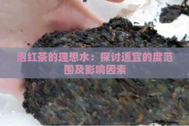 泡红茶的理想水：探讨适宜的度范围及影响因素